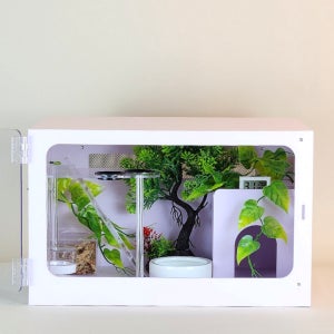 레오파드 펫테일 게코 사육장 화이트 도마뱀 파충류 화이트 40x30x25cm