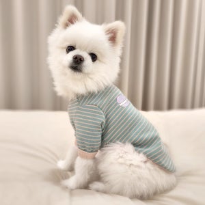 반려견 봄옷 강아지 실내복 내복 티셔츠 달콤