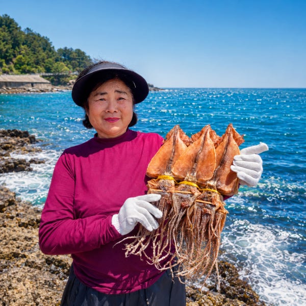 오징어엄마 마른오징어 건조오징어 건오징어 말린 왕특 5미