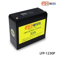 장수배터리 LFP 리튬인산철 다용도 배터리 LFP-1230P (12V30Ah)