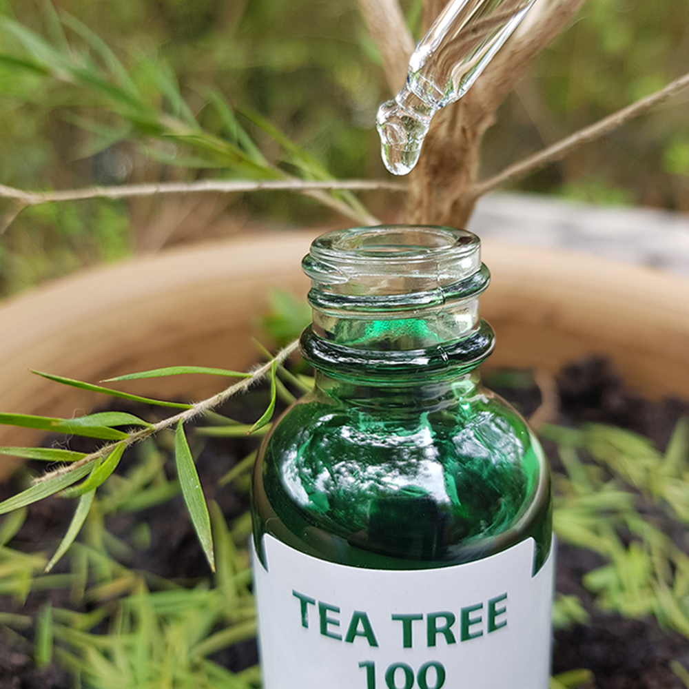 효능촉진앰플(티트리)