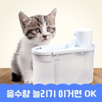 고양이 정수기 자동 급수기 강아지 살균 무선 자동 스마트 필터 음수량 2L 찹찹워터펫