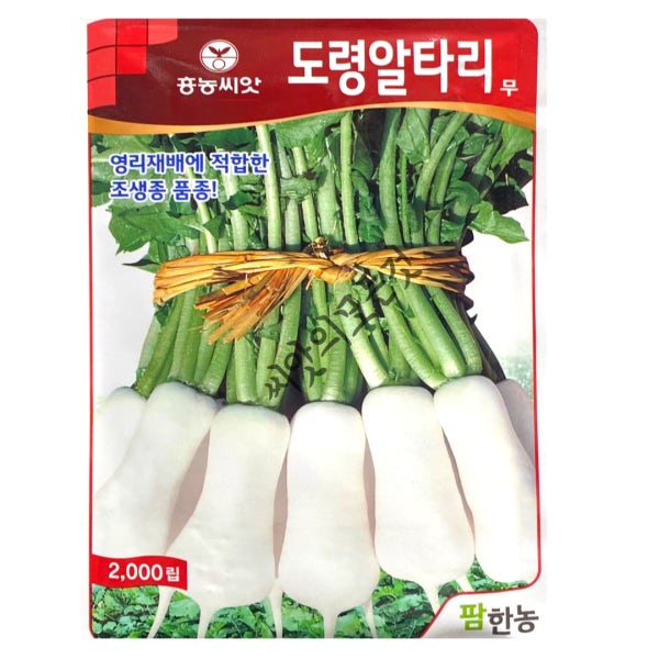 도령알타리무 씨앗 종자 2000립 총각무 김장무 가을