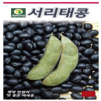 서리태콩 600g 콩종자