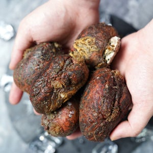 25년 거제도 통영 해녀채취 제철 돌멍게 1kg 활멍게