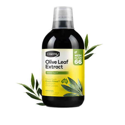 콤비타 <b>올리브잎</b> <b>추출물</b> 추출액 500ml
