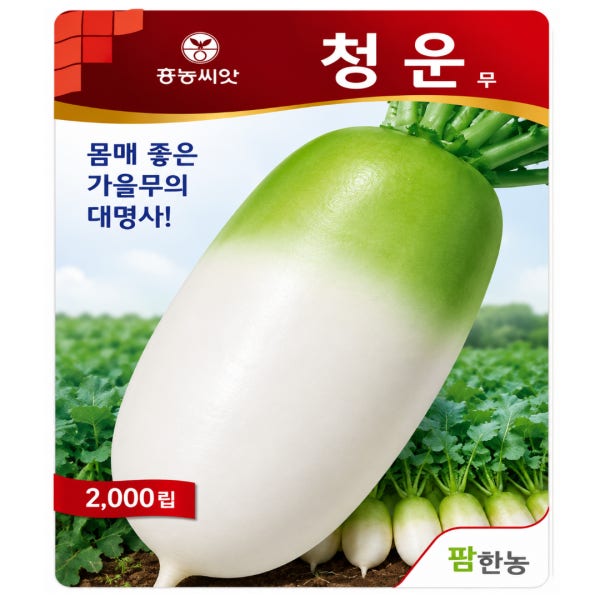 김장무씨앗 종자 청운무씨앗 무씨 2000립 가을