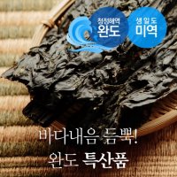 동원수산 바다내음 듬뿍 완도산 건미역1kg