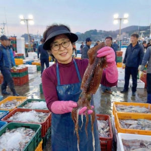 오징어엄마 원양산 냉동 손질오징어 생물 선동 물 생오징어 1kg