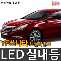 LED YF쏘나타 브릴리언트 부스터 번호판등 1대분