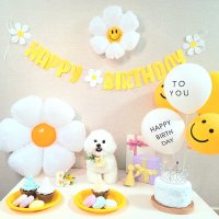 강아지 생일파티 고양이 생일상 돌잔치 세트