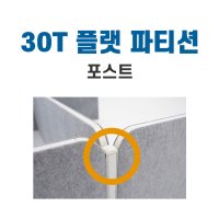 30T 플랫 파티션 포스트