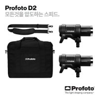 프로포토 D2 Duo Kit 500 스튜디오 조명