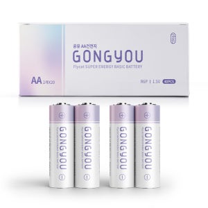 공유 망간 AA 건전지 2개 세트 1.5V CT12409