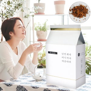 티내다 차가버섯차 삼각티백 100개입