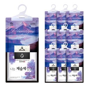 홈트너 제습제 옷장제습제 습기제거제 옷걸이형 120g, 10개