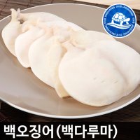 [아이스박스]국내산 백다루마 500g /백오징어 몸통 반건조 오징어 반찬