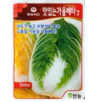 김장배추씨앗 맛있는가을베타배추씨 300립 항암배추종자