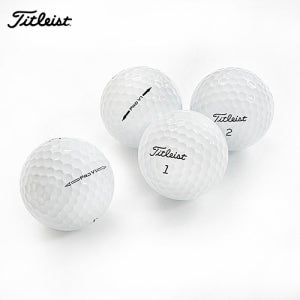 타이틀리스트 Pro V1 로스트볼 화이트 A급 20개
