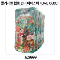 폴라레티 헬로 썸머 아이스바 40ML X 60CT 코스트코 629999