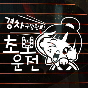 초보운전스티커 자동차 반사 차량 아이가타고있어요 LSC653 초보운전 경차구입완료