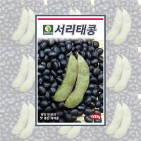 서리태콩 600g