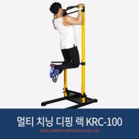 바디스톤 멀티 치닝디핑랙 KRC-100