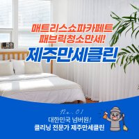 제주 서귀포 매트리스청소 쇼파 카페트 의자 살균세척 방역소독 청소업체 입주청소 등 종합