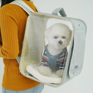 끌레 백팩 이동가방 강아지이동가방 강아지산책