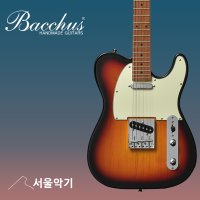 바커스 BTE-1-RSM/M 3TS SS 로스티드 메이플 텔레 Bacchus