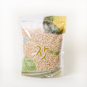 [2025 햇잣] 솔향 가득 국산 백잣 1kg