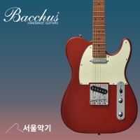 바커스 BTE-1-RSM/M CAR SS 로스티드 메이플 텔레 Bacchus