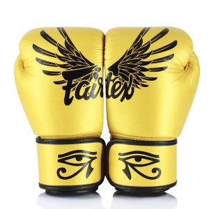 페어텍스 글러브 BGV1 팔콘 가죽 복싱 권투