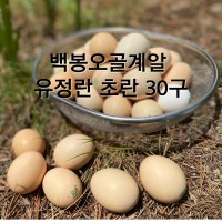 무항생제 춘천 자연방사 백봉오골계 알 계란 유정란 초란 30구