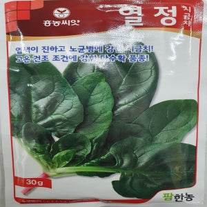 열정시금치 30g 시금치 씨 씨앗 종자