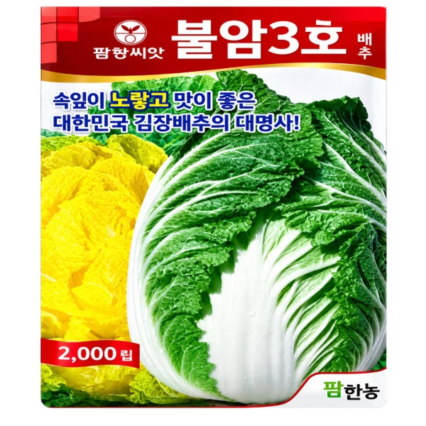 김장배추씨앗 종자 불암3호배추씨 2000립 가을 항암