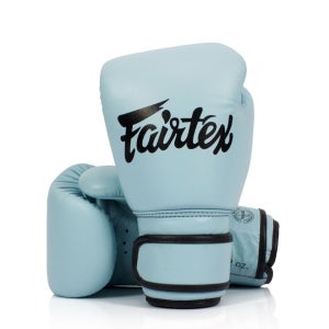 페어텍스 글러브 BGV20 가죽 복싱 권투