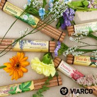 VIARCO 비아르쿠 Scented Pencil 향기나는 삼나무 연필세트(6EA)