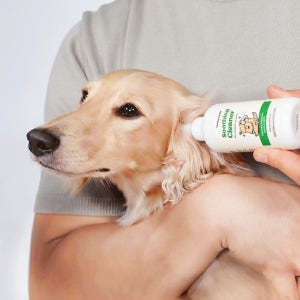 래핑찰리 이어클리너 120ml 강아지 중이염 귀세정제 귀청소