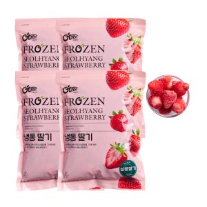 오트리 푸룻하이브 국내산 냉동 딸기 1kg x 4