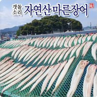 [갯돌소리전복] 자연산 마른장어 산지직송