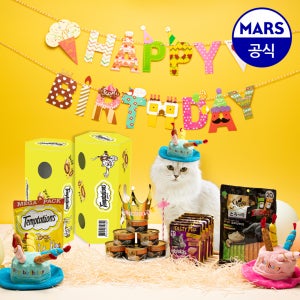템테이션 파티키트 닭고기맛 180g 4종 14개 세트 고양이 선물