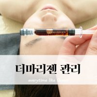 [관리용]더마리젠관리