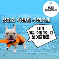 강아지 턱받침 구명조끼 라이프가드 튜브 애견튜브 애견 수영복 준비물 물무서워하는 여름 개