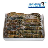 민물가재 800g 25마리내외 마라롱샤 인도네시아 크레이피쉬 가재찜