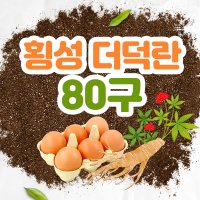 두둑한 횡성 더덕란 8팩(80알)