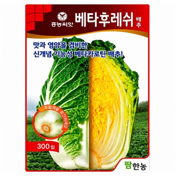김장배추씨앗 베타후레쉬 300립 항암배추 가을종자
