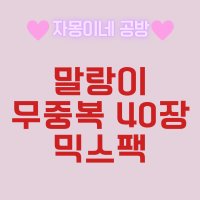 말랑이 무중복 40장 믹스팩♡ 낱장 도무송 윰자 포장용품