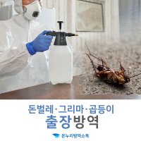 돈벌레퇴치 곱등이 그리마퇴치 업체 해충방역소독서비스