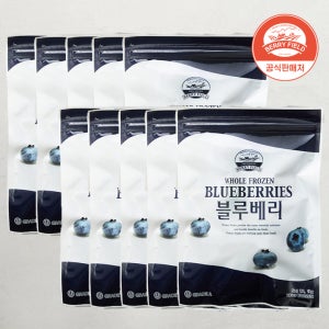 [대용량] 냉동 블루베리 칠레산 베리필드 1kg, 10개